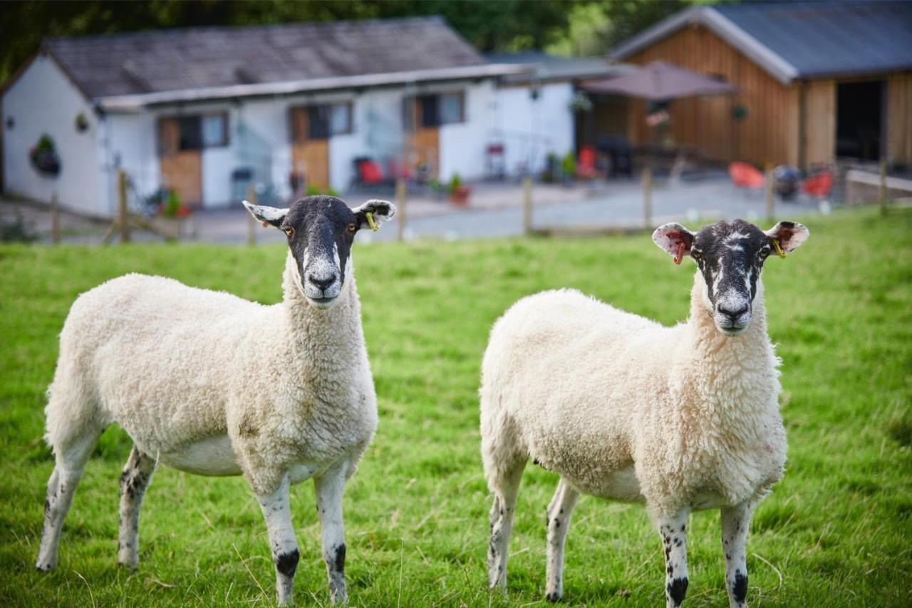 Newlands Farm Stables Villa Kendal Luaran gambar