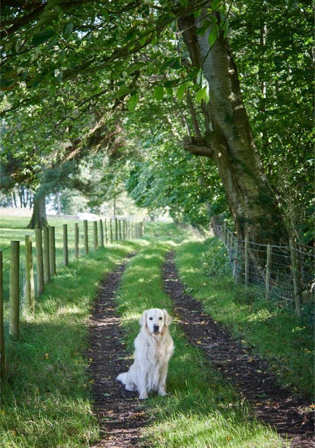 Newlands Farm Stables Villa Kendal Luaran gambar