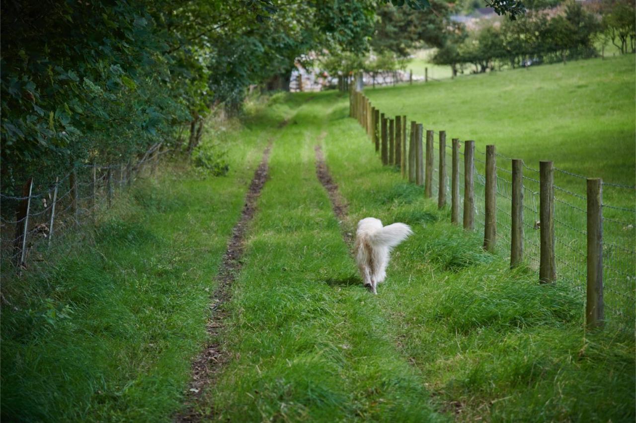 Newlands Farm Stables Villa Kendal Luaran gambar