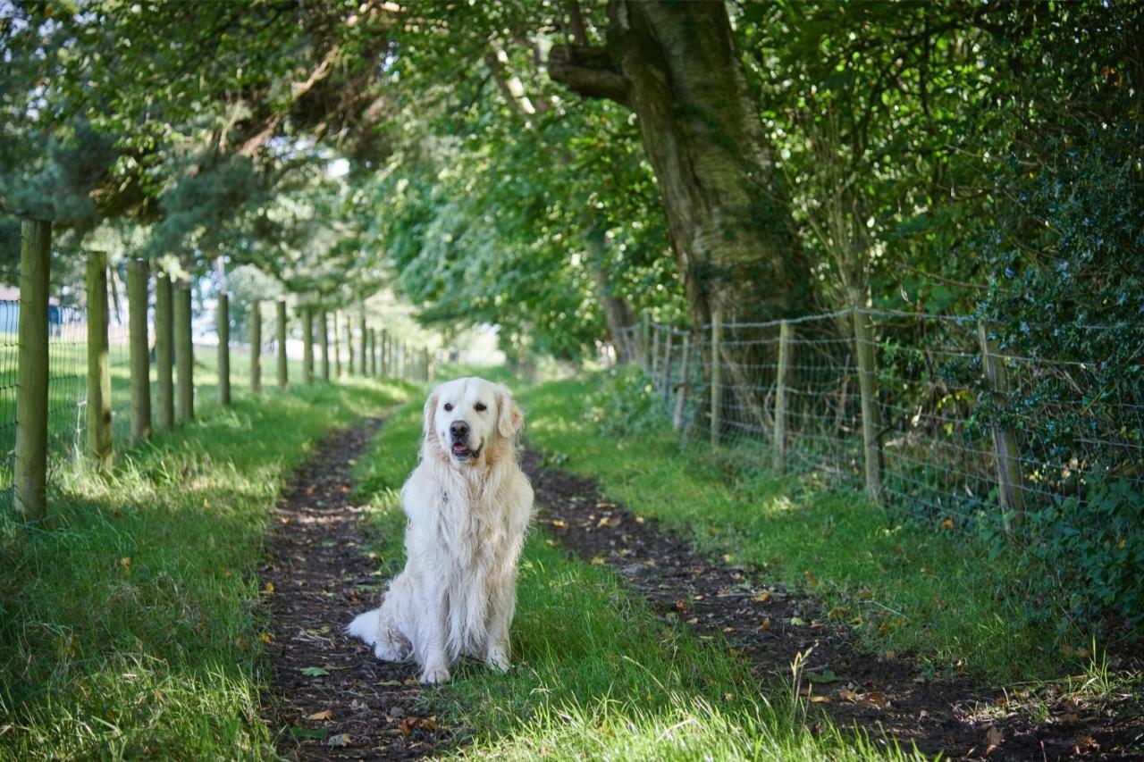 Newlands Farm Stables Villa Kendal Luaran gambar